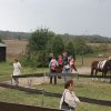 03.10. Tag der offenen Stalltür