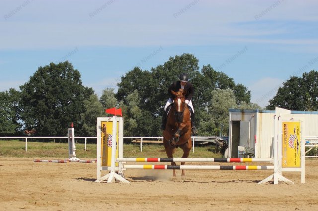 09-05-51_img_3625