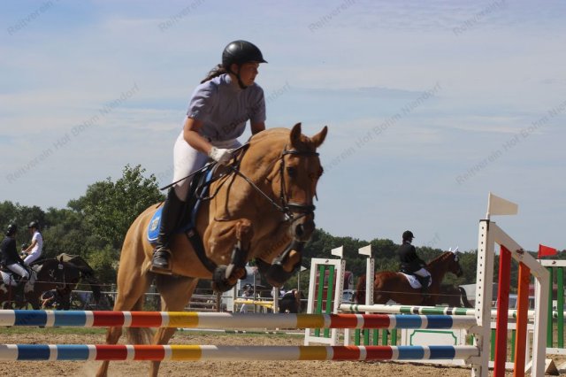 10-38-01_img_3637