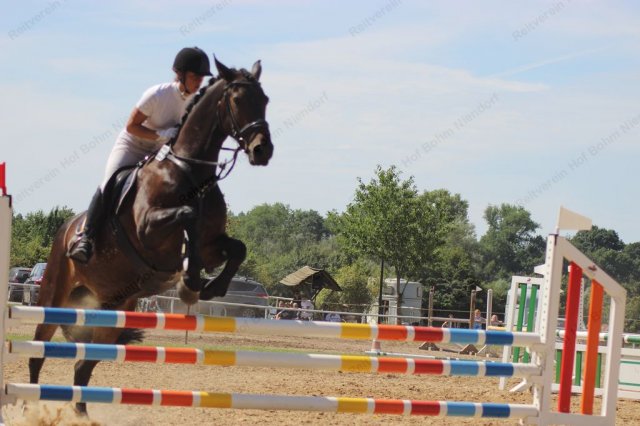 11-00-51_img_3657