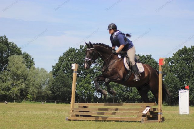 12-08-11_img_3671