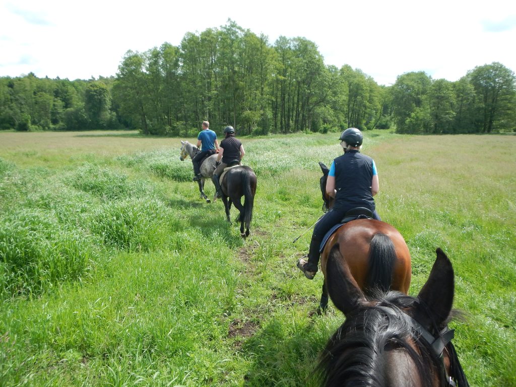 Reiten Rostock, Freitzeitreiten Rostock, Ausreiten, Gelände reiten, Pemsionsstall Rostock, Pferde, Reitstall, Reitverein