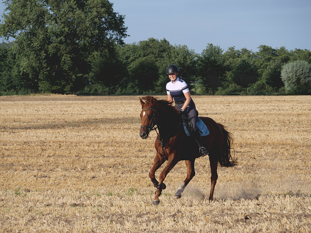 Reiten Rostock, Freitzeitreiten Rostock, Ausreiten, Gelände reiten, Pemsionsstall Rostock, Pferde, Reitstall, Reitverein