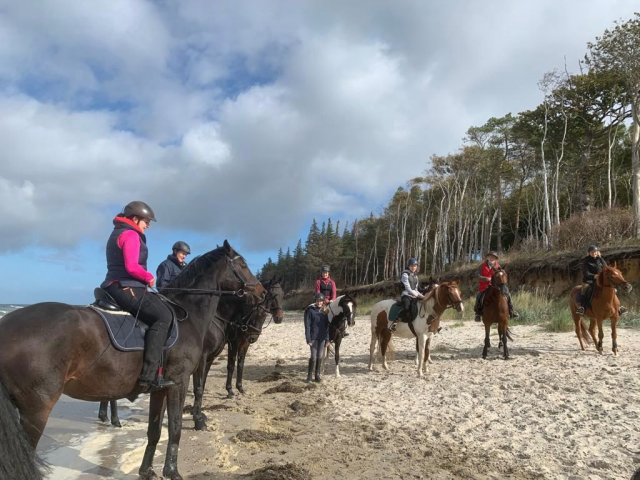 Reiten Rostock, Freitzeitreiten Rostock, Ausreiten, Gelände reiten, Pemsionsstall Rostock, Pferde, Reitstall, Reitverein