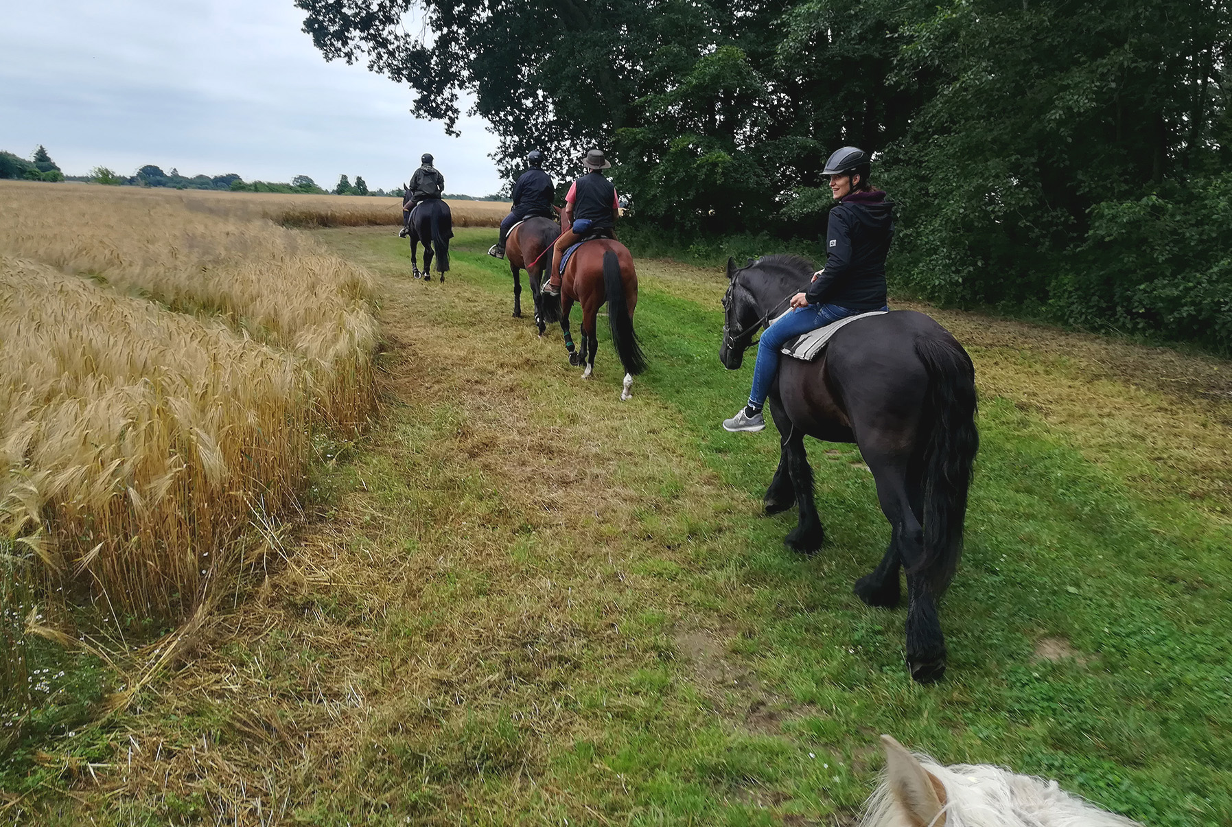 Reiten Rostock, Freitzeitreiten Rostock, Ausreiten, Gelände reiten, Pemsionsstall Rostock, Pferde, Reitstall, Reitverein