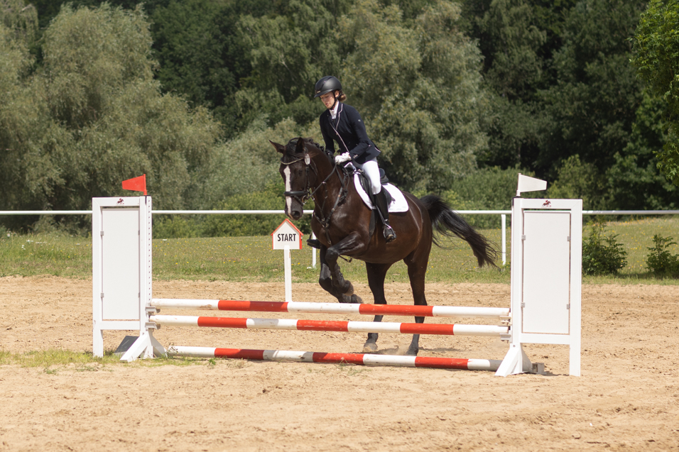 Turniere reiten Rostock, Turniersport, Reitverein, Pferdesport, Hof Bohm, Springreiten, Reitertag,